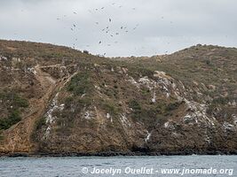 Isla de la Plata - Ecuador