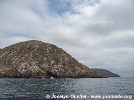 Isla de la Plata - Ecuador