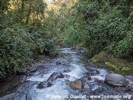 Mindo - Ecuador