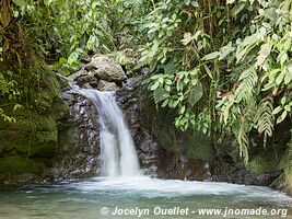 Mindo - Ecuador