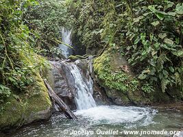 Mindo - Ecuador