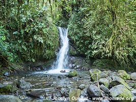 Mindo - Ecuador