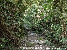 Mindo - Ecuador