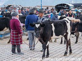 Otavalo - Ecuador