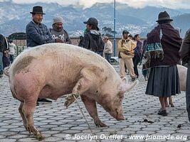 Otavalo - Ecuador