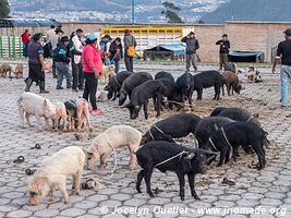 Otavalo - Ecuador