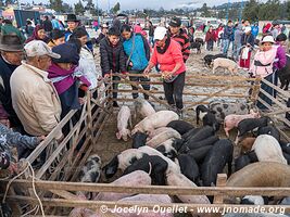 Otavalo - Équateur