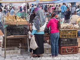 Otavalo - Équateur