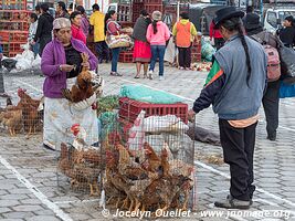 Otavalo - Ecuador