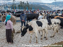 Otavalo - Ecuador