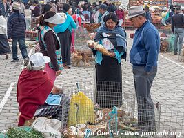 Otavalo - Ecuador