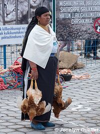 Otavalo - Équateur