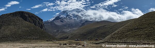 Reserva de Producción de Fauna Chimborazo - Équateur