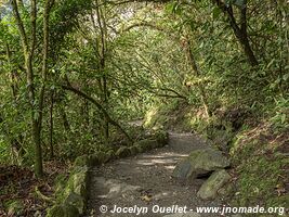 Pailón del Diablo - Baños - Équateur