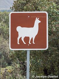 Parc national Cajas - Équateur