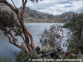 Parc national Cajas - Équateur