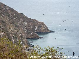 Isla de la Plata - Ecuador