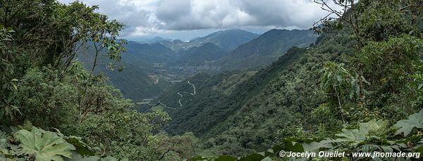 Vallée de l'Intag - Équateur