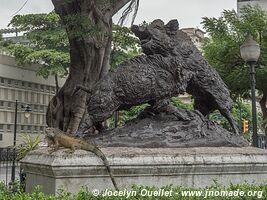 Guayaquil - Équateur