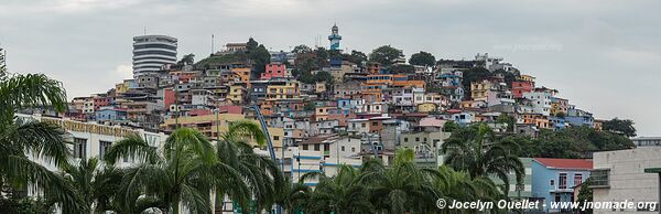 Guayaquil - Ecuador