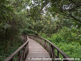 Isla Santay - Guayaquil - Équateur