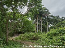 Isla Santay - Guayaquil - Équateur