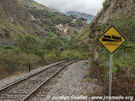 Nariz del Diablo and around - Ecuador