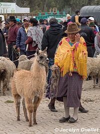 Saquisilí - Ecuador