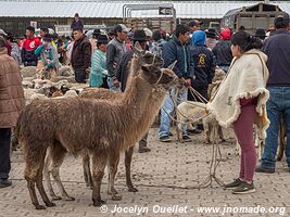 Saquisilí - Ecuador