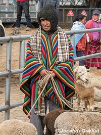 Saquisilí - Ecuador