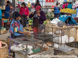 Saquisilí - Ecuador