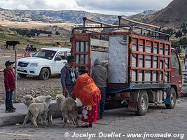 Zumbahua - Ecuador