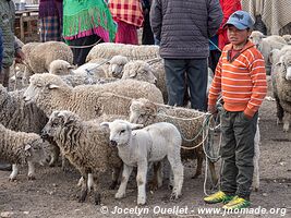 Zumbahua - Ecuador