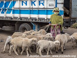 Zumbahua - Ecuador