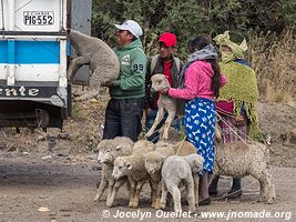 Zumbahua - Ecuador