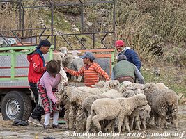 Zumbahua - Ecuador