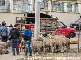 Zumbahua - Ecuador