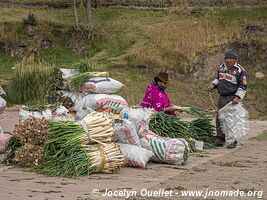 Zumbahua - Ecuador