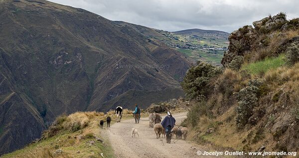 Route de Guasuntos à Totoras - Équateur