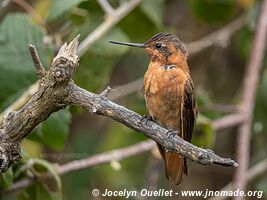 Laguna de Secas - Ecuador