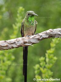 Laguna de Secas - Ecuador