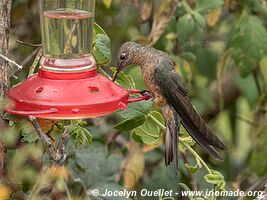 Laguna de Secas - Ecuador