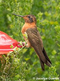 Laguna de Secas - Ecuador