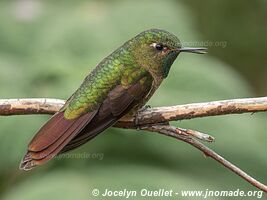 Laguna de Secas - Ecuador