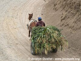 Trail from Talara to Paita - Peru