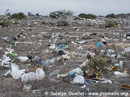 Road from Piura to Lambayeque - Peru