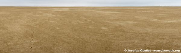 Road from Piura to Lambayeque - Peru