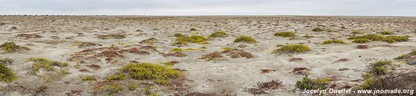 Road from Piura to Lambayeque - Peru