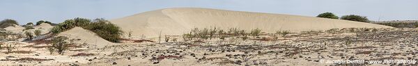 Road from Piura to Lambayeque - Peru