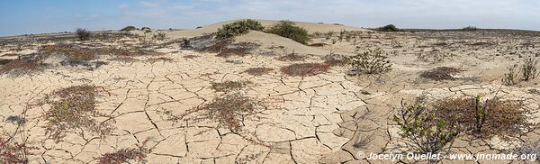 Road from Piura to Lambayeque - Peru